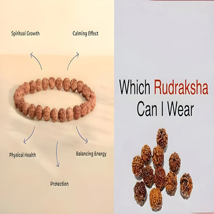 7 Mukhi Rudraksha Spiritual Bracelet
